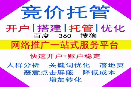 某电商平台sem竞价运营的突破与挑战